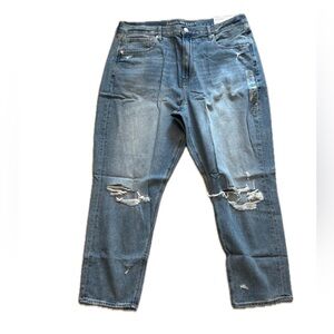 American Eagle Outfitters High Rise Mom Blue Jeans